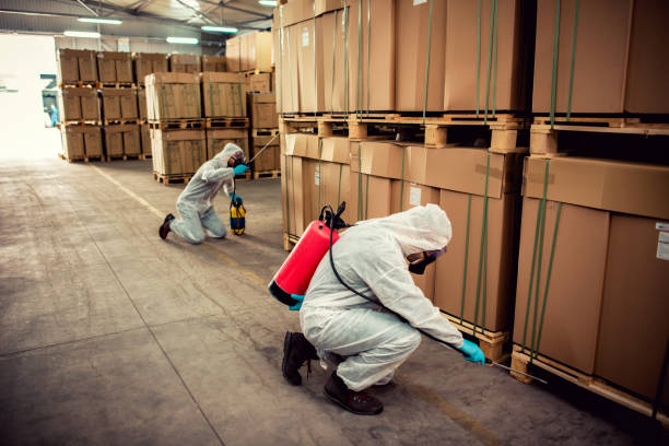Best Mosquito Control Services  in Wade Hampton, SC