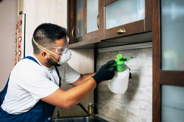Best Pest Control Near Me  in Wade Hampton, SC
