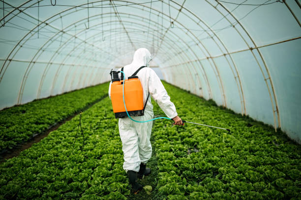 Reliable Wade Hampton, SC Pest Control Solutions