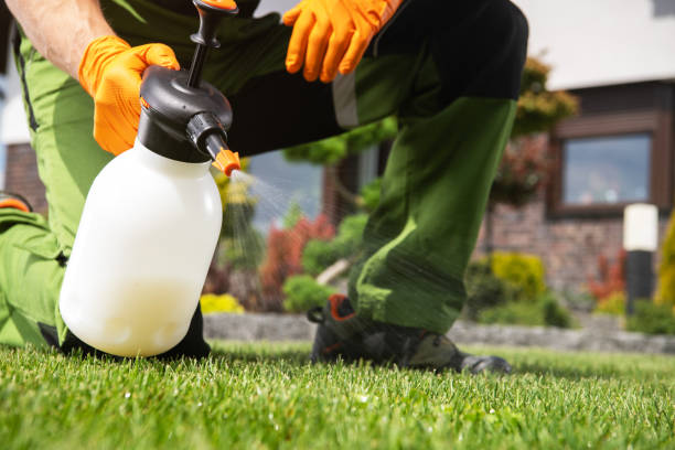 Best Local Pest Control Services  in Wade Hampton, SC