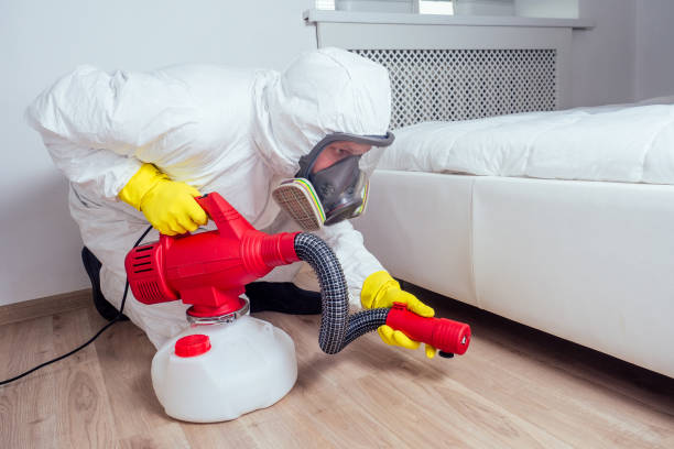 Best Insect Control  in Wade Hampton, SC