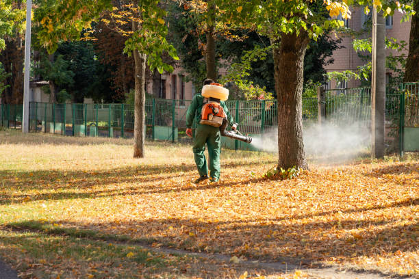 Best Residential Pest Control  in Wade Hampton, SC