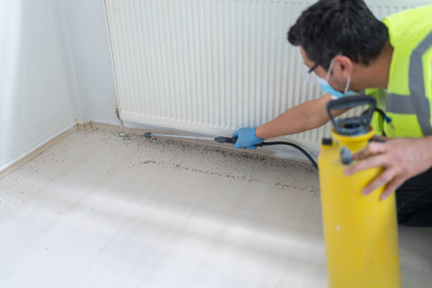 Best Bed Bug Extermination  in Wade Hampton, SC